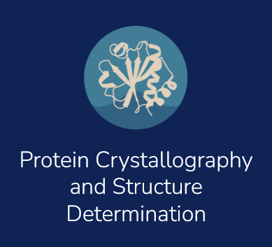 Peak Protein - Protein Crystallography and Structure Determination