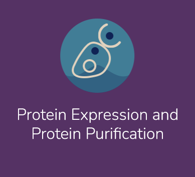 Peak Proteins - Protein Expression and Protein Purification