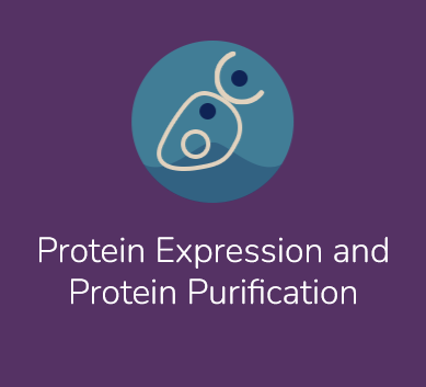Peak Proteins - Life Science CRO Peak Proteins - Protein Expression and Protein Purification