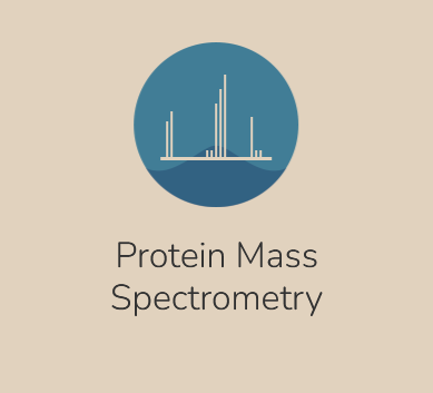 Peak Proteins - Life Science CRO Peak Proteins - Protein Mass Spectrometry