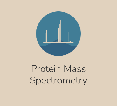 Peak Proteins - Protein Mass Spectrometry